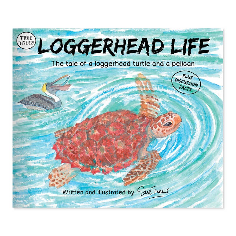 Loggerhead Life Reading Book