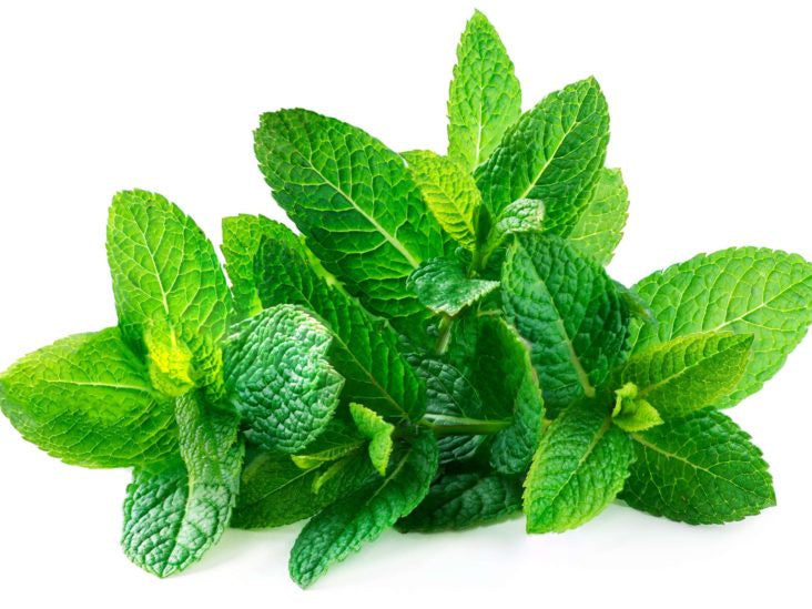 Shirley's Mint Leaves