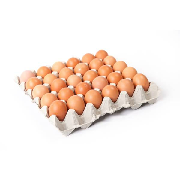 Large Fresh Eggs 30