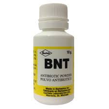 BNT Antibiotic Powder 10 g