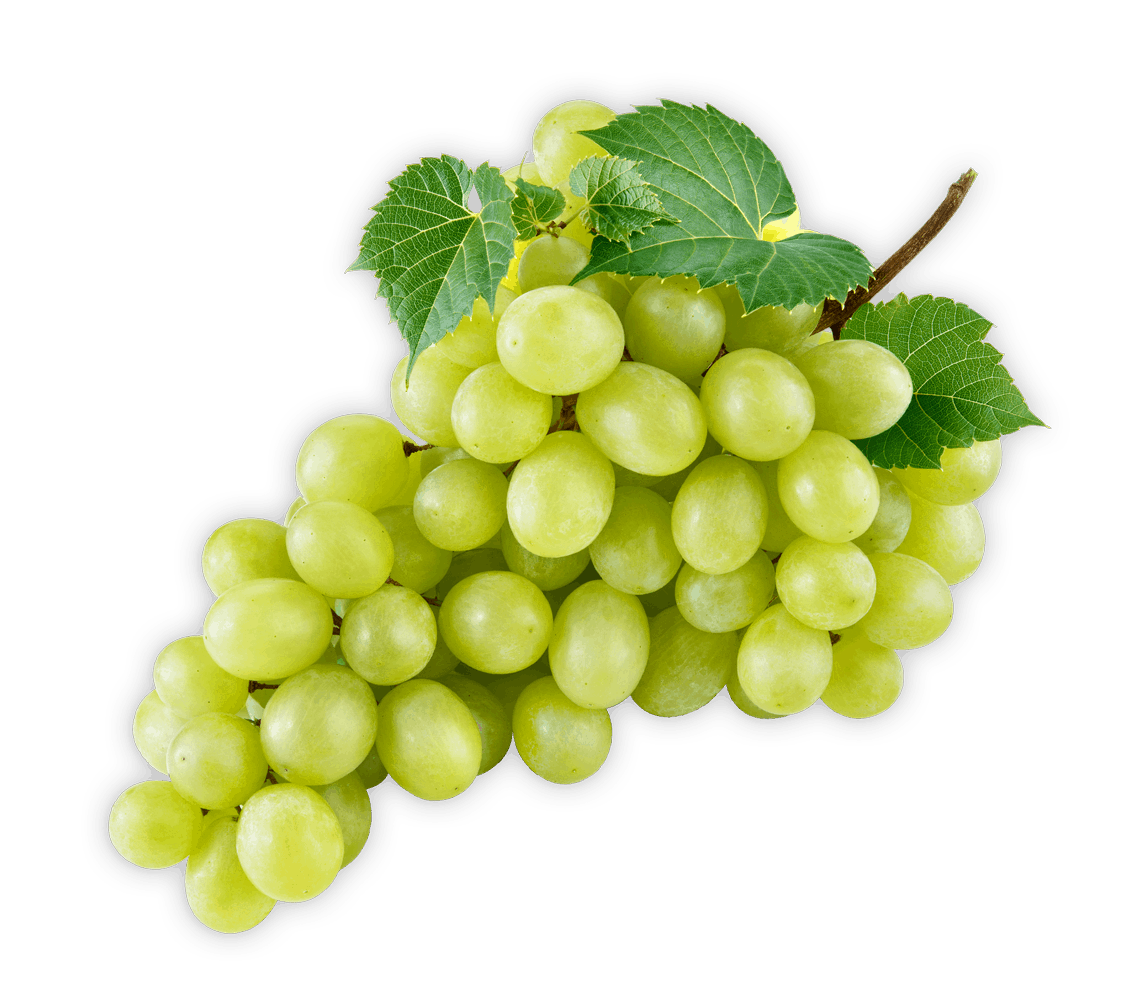 Green Seedless Grapes per KG