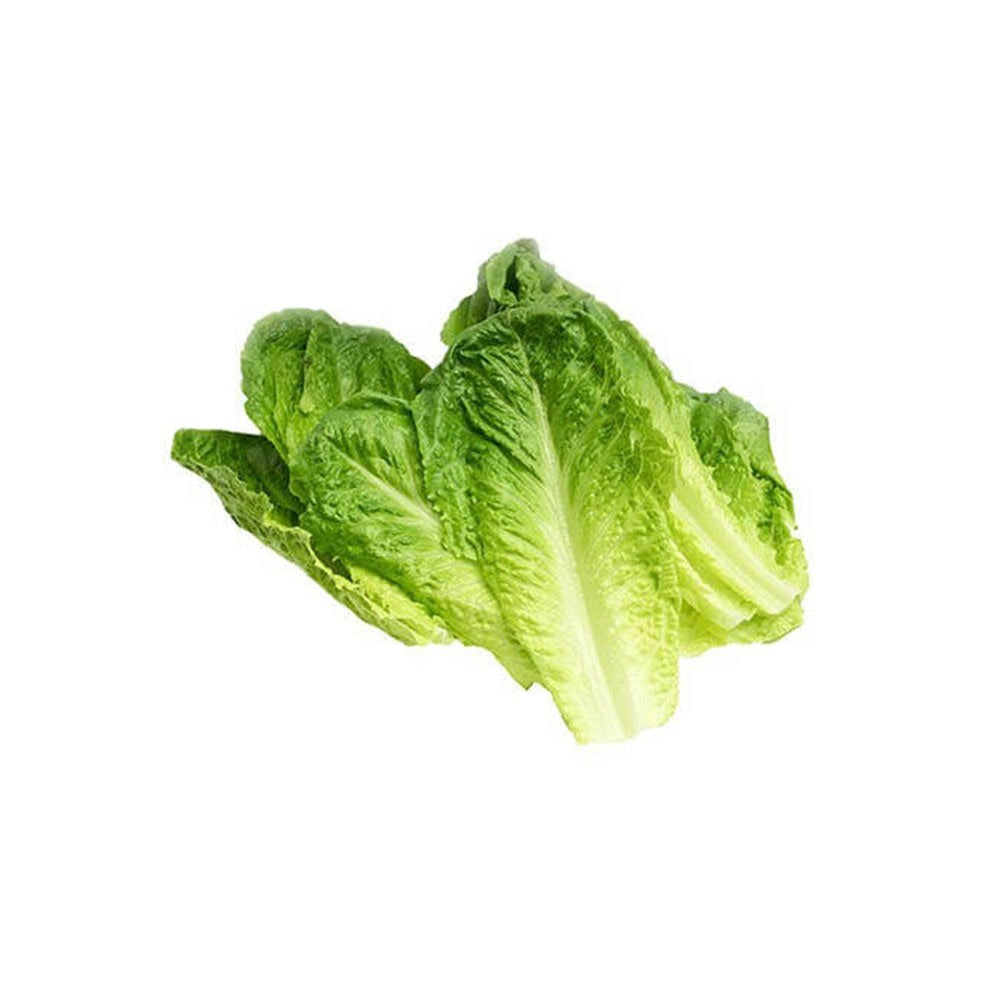 Romaine Lettuce Loose Leaves