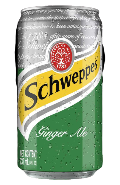 SCHWEPPES Ginger Ale Can 237ml