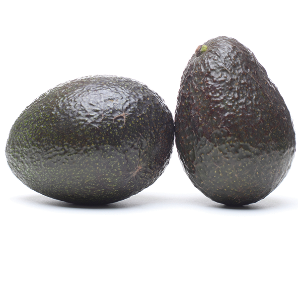 Avocado Hass