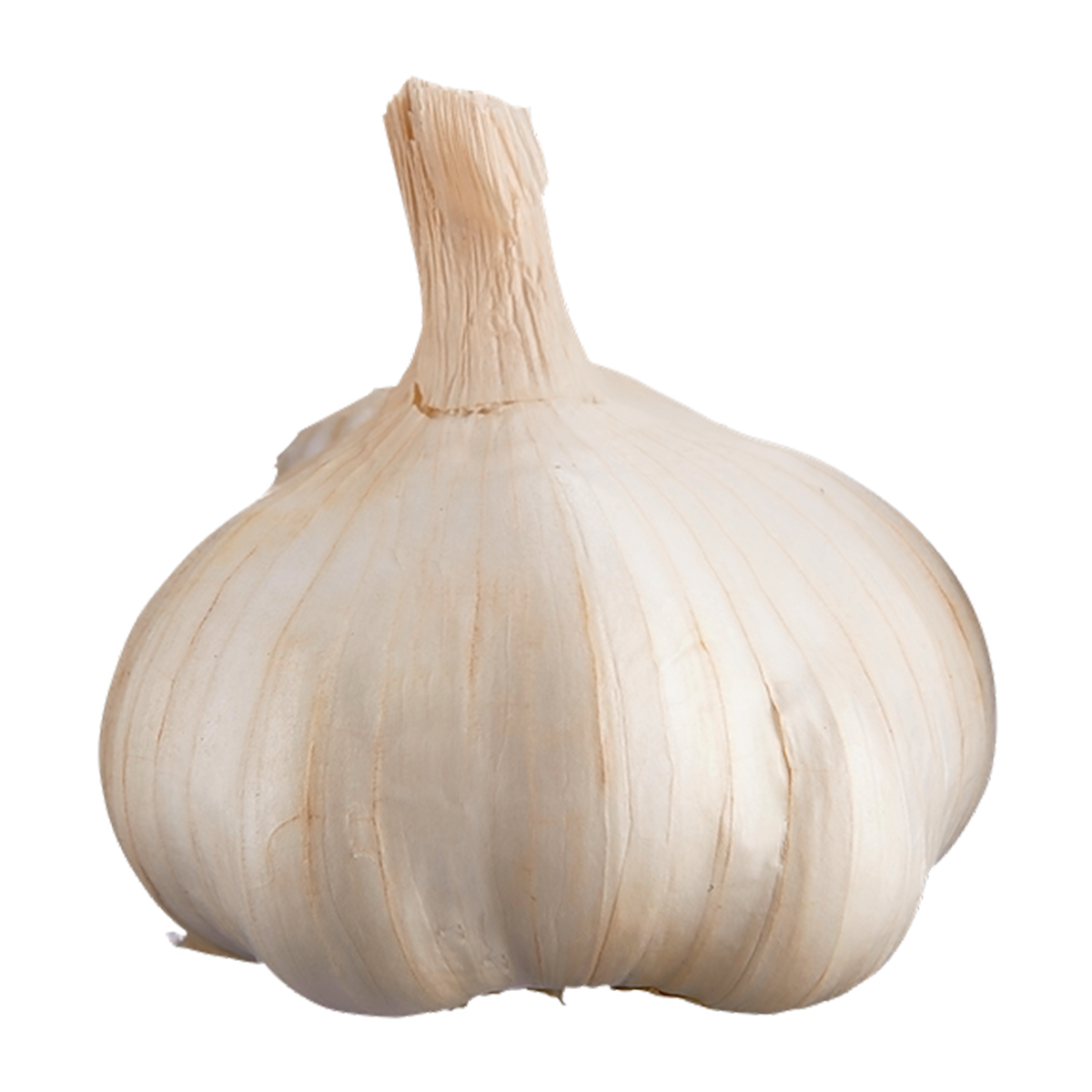 Fresh Garlic Bulbs per pack